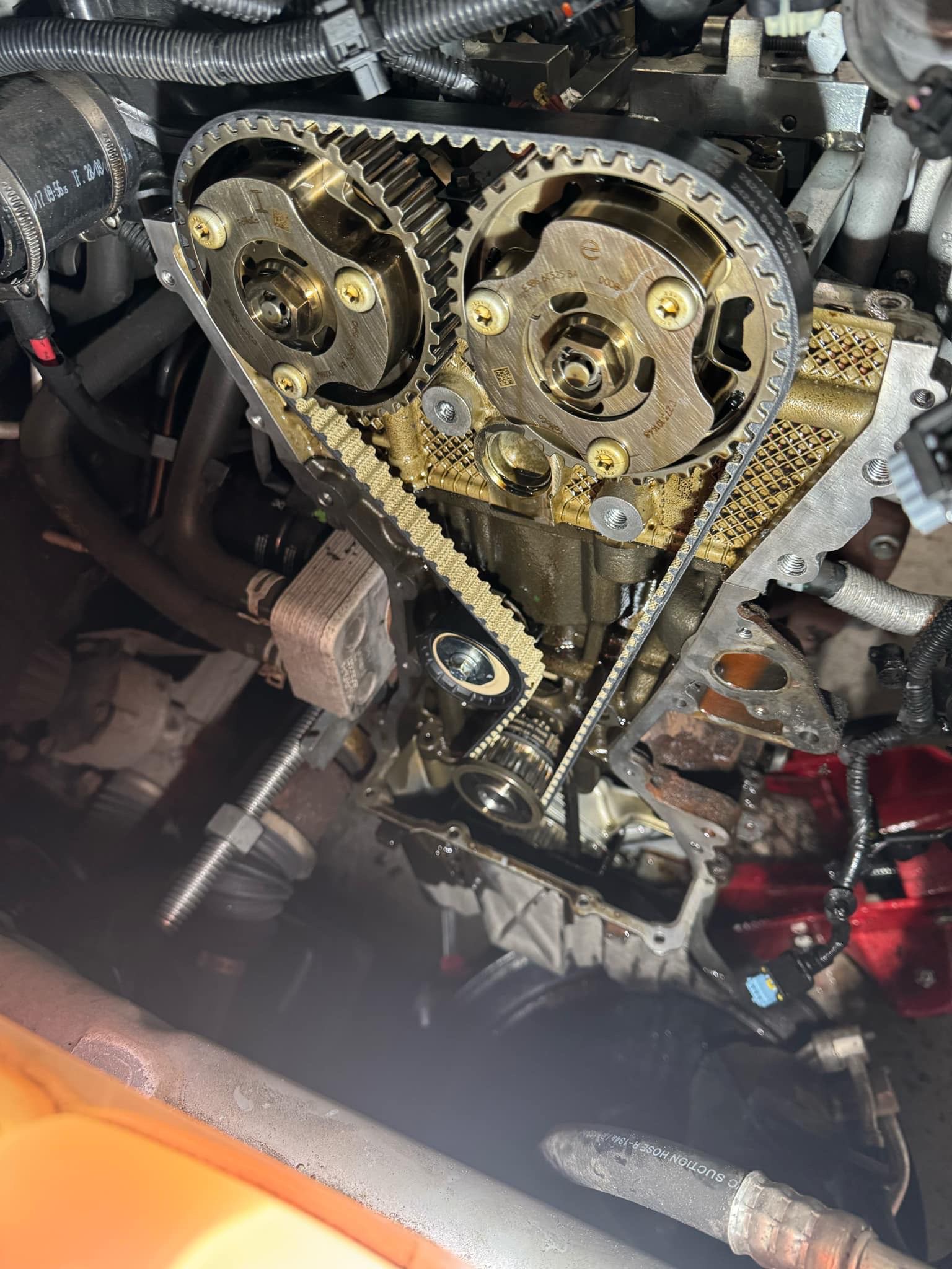 8d793397-1c62-441a-ba44-1afece3180cf