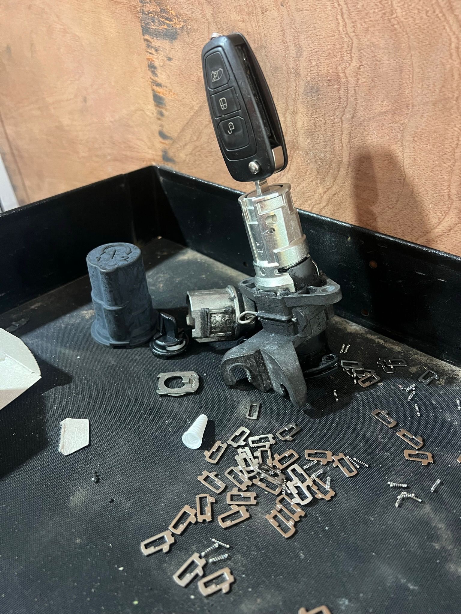 ca1cb395-b7ae-49b6-bfa8-9d978d5ff740