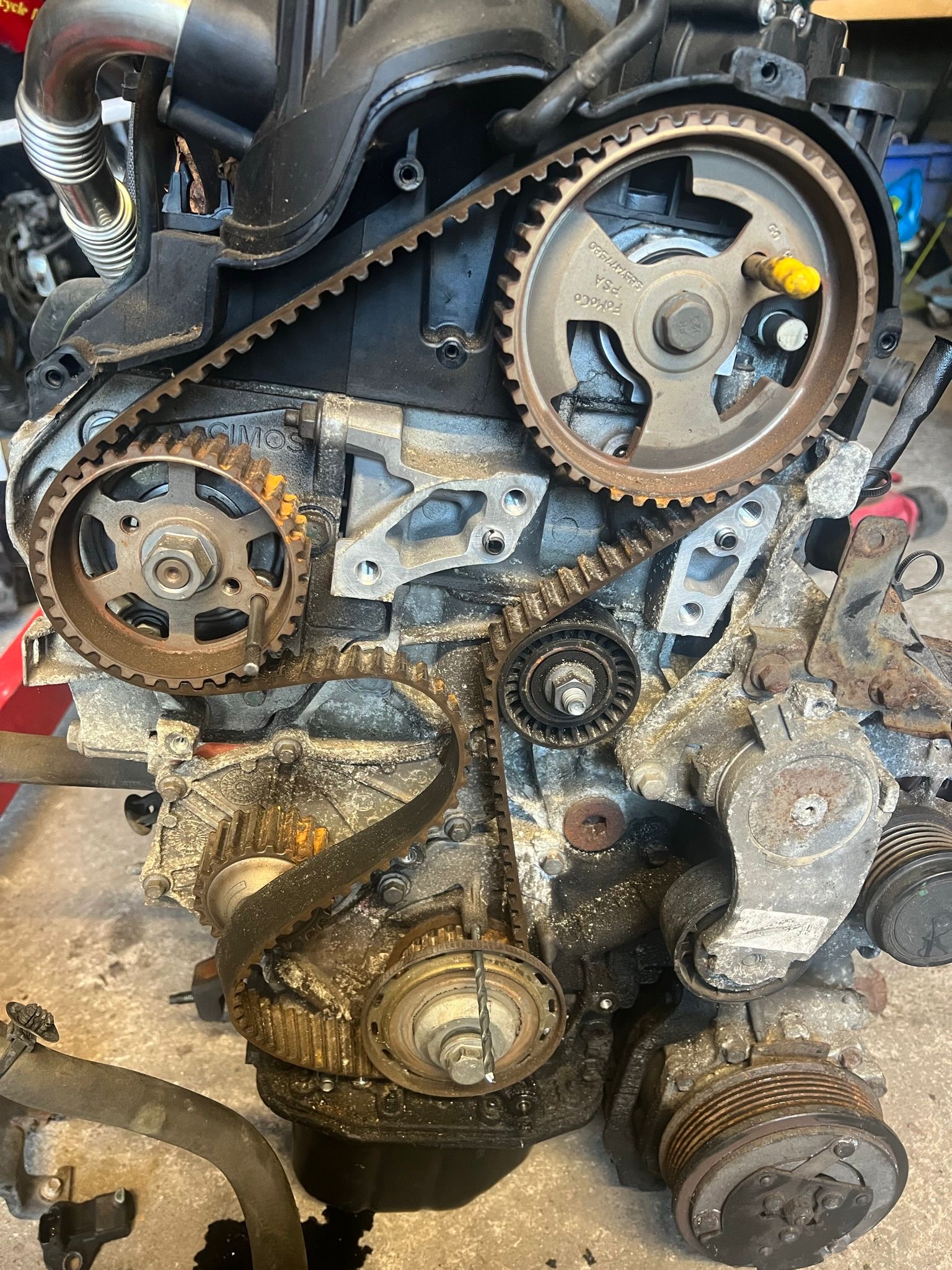 f018ea96-59e3-4861-a6b9-cf5f9182d738